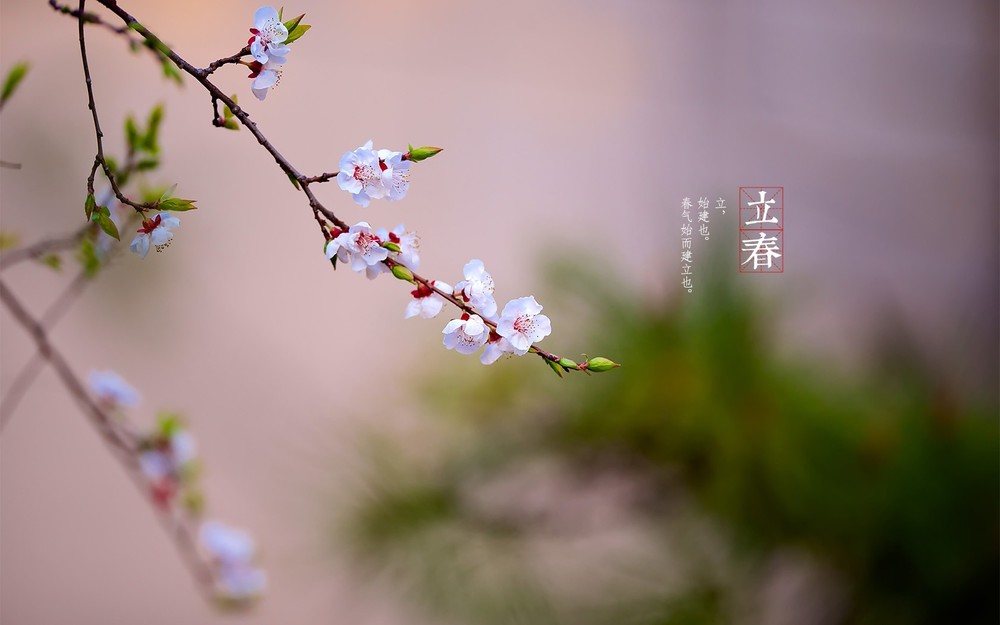 qgifer(视频提取GIF动画)