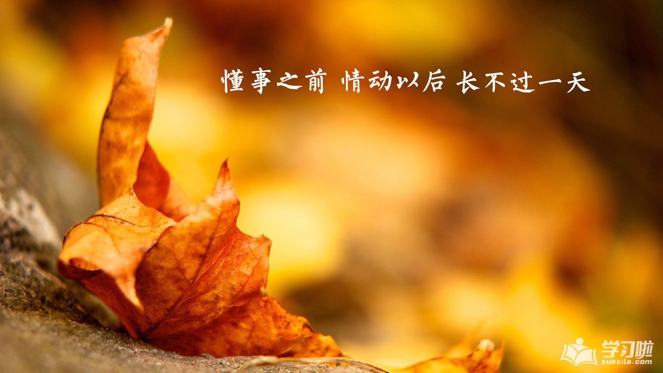 母爱街(母婴特卖)
