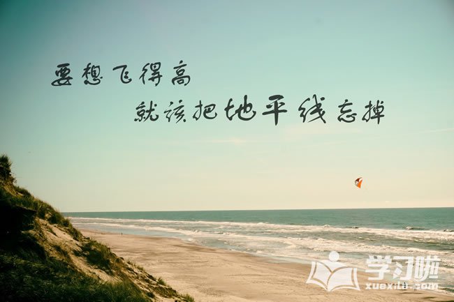 太阳网城app