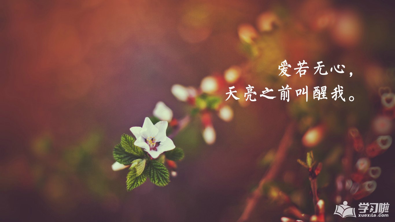 开云app在线下载安卓版安卓版二维码