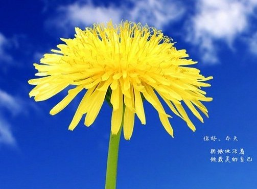 共享阅读手机版