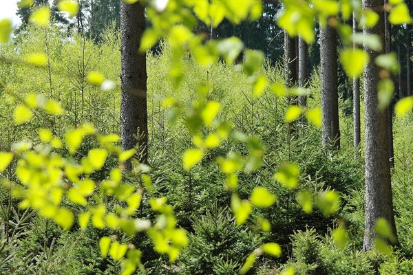 8868体育appV5.9专业版