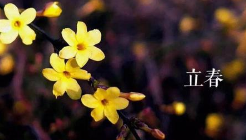 火狐体育全站入口