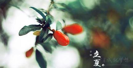 贵州药材APP