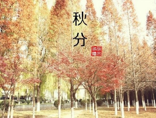 小熊洗车APP