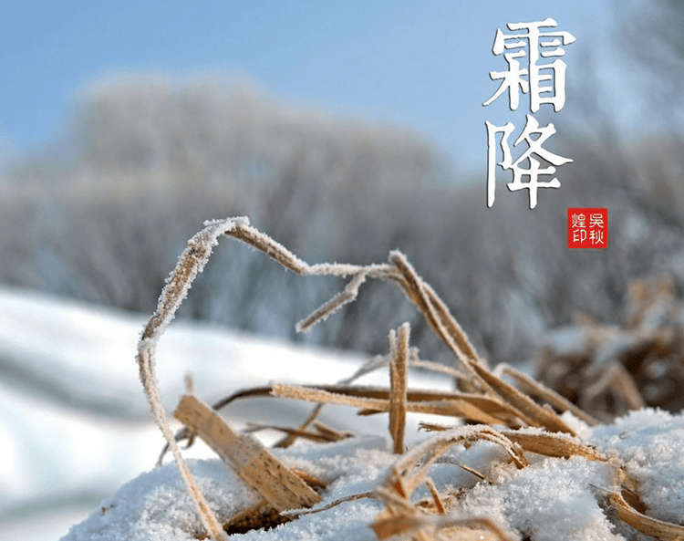 灵魂筹码2025最新版赌徒角色团队协作场景