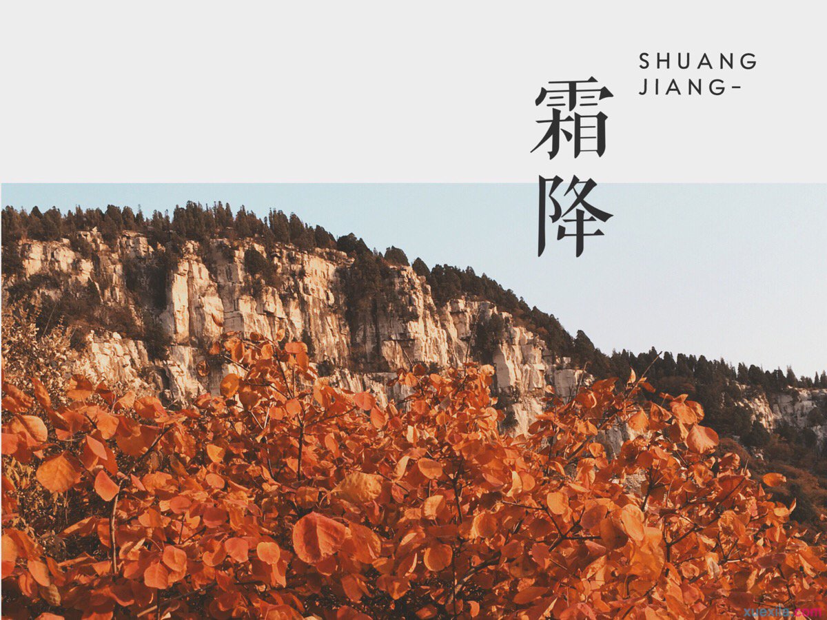 云开体育app官方下载安装安卓版二维码