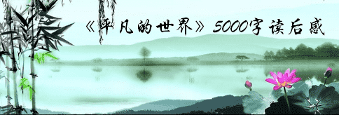 澳门威尼尼斯app2025版宠物骑乘展示