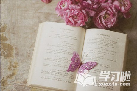 王者挂机传ios果盘版