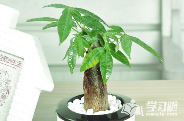 高登棋牌app安卓版二维码