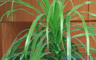 河南汽车维修平台APP