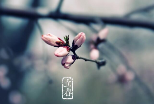 银娱app2025版新职业技能展示