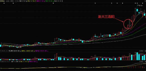 老版大阳城集团V5.6专业版