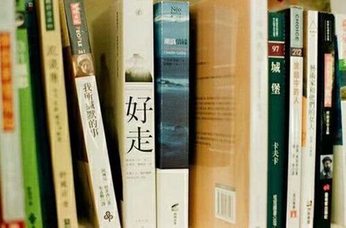 因特尔S5000VSA显卡驱动