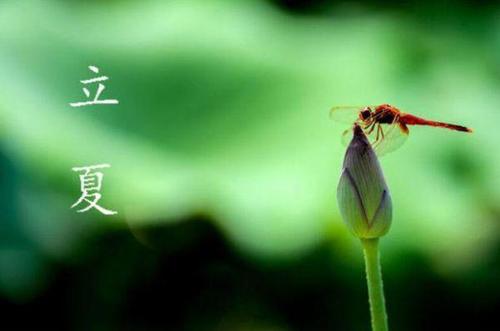 美高梅集团4688am官网安卓版二维码