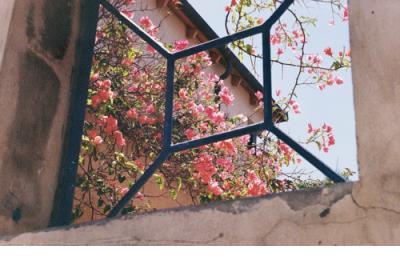 adobe bridge cs4(Adobe媒体管理器)