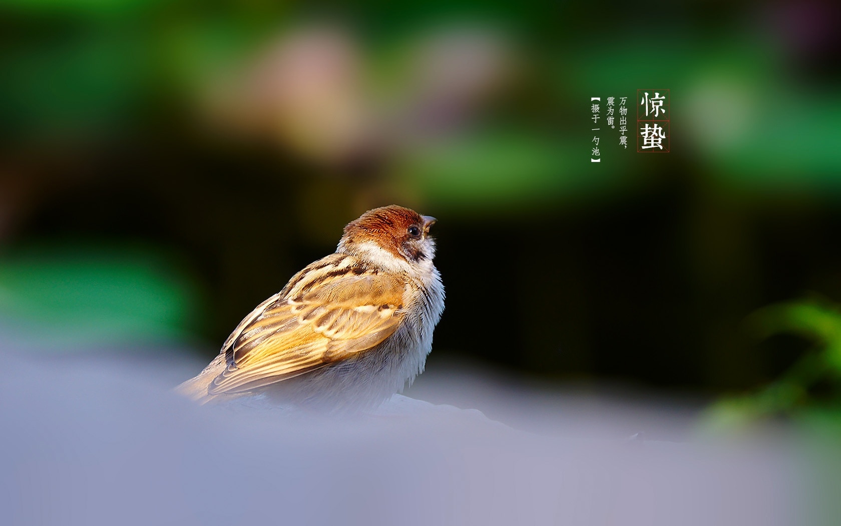 磁盘分区及数据恢复软件最新版