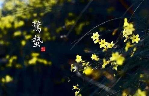 小熊洗车APP