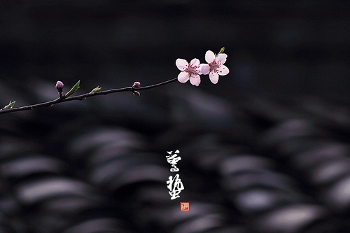 心理帮帮帮医生端