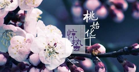 河南汽车维修平台APP