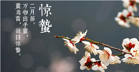 天马娱乐安卓版二维码