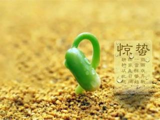 河南汽车维修平台APP