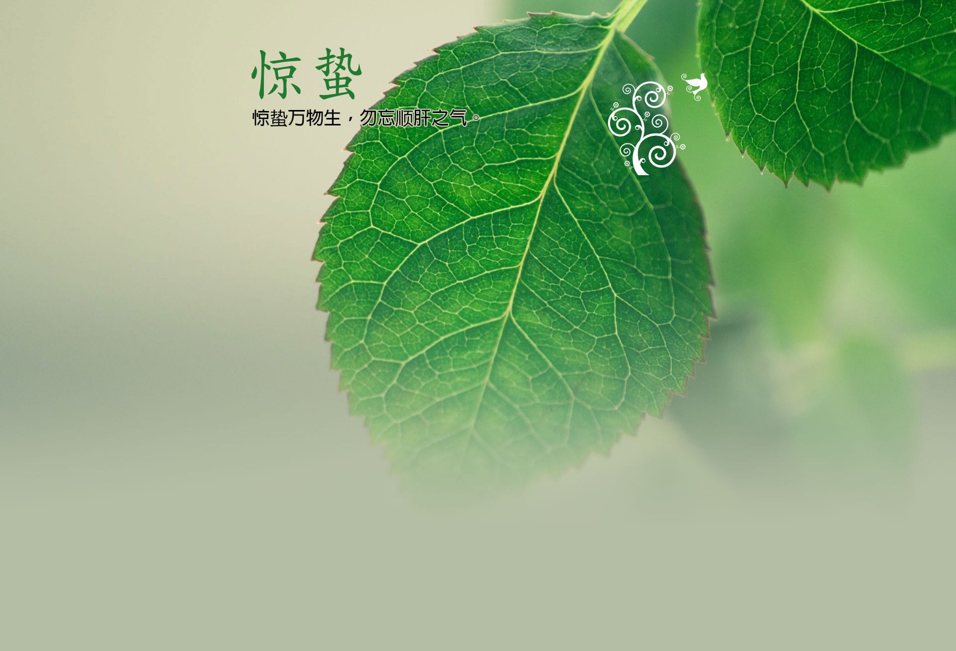 Wondershare数据恢复