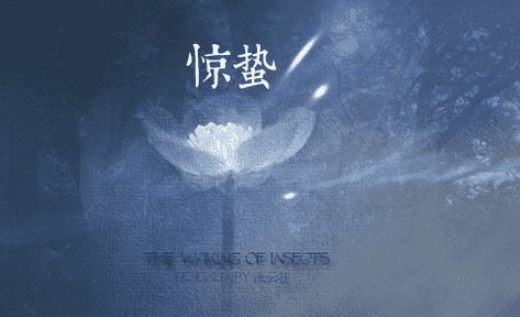 eman安卓版