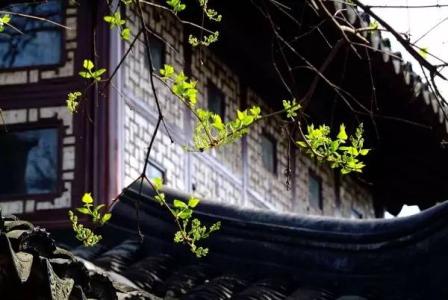 吃鸡特工战争