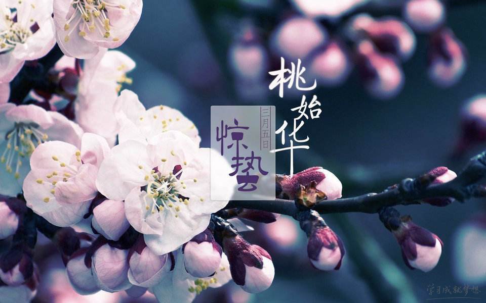 贵州药材APP