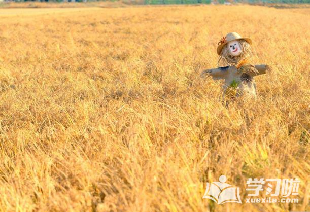 开云kaiyun官方版2025最新版登录界面展示