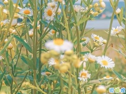 灵魂筹码2025版账号角色选择界面
