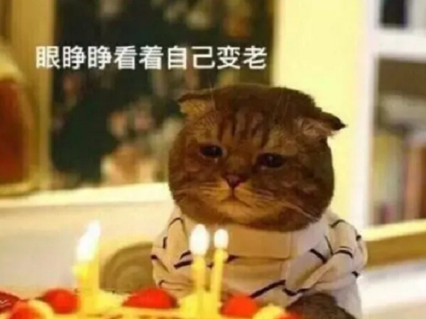 小熊洗车APP