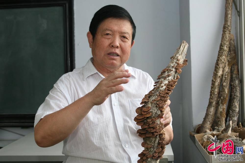 海通网上交易系统通达信版