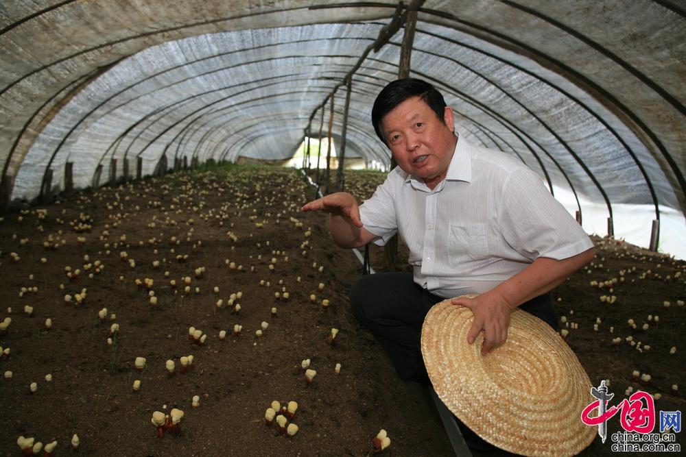 贵州药材APP