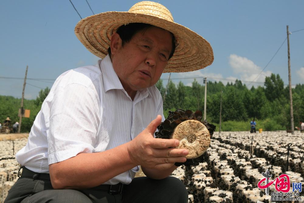 云开体app官网入口下载2025版广阔海域与贸易站远景