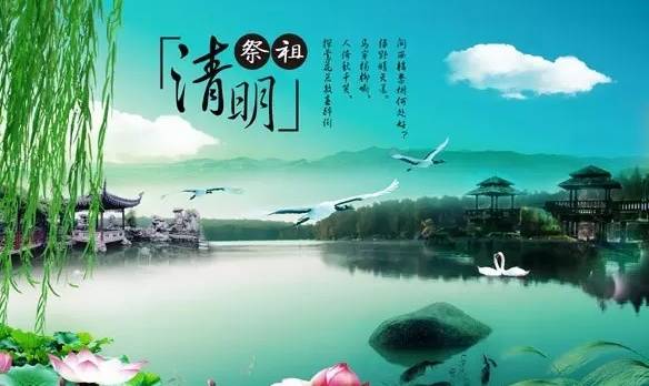 老版大阳城集团V3.9专业版