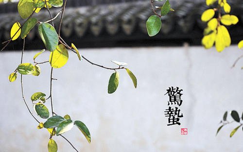 eman安卓版