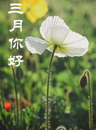 迷你简嘟嘟体ttf