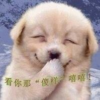 广东会进入网站