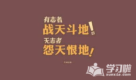 BOB体育彩票V5.8专业版