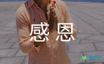 球探appV3.5专业版