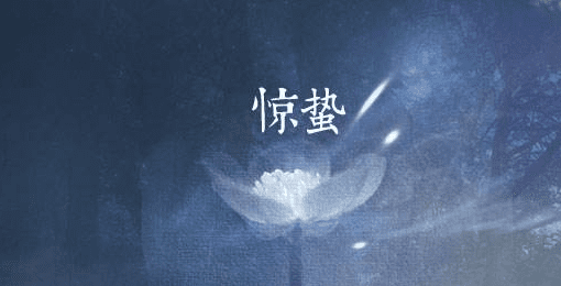 雅坊美工12