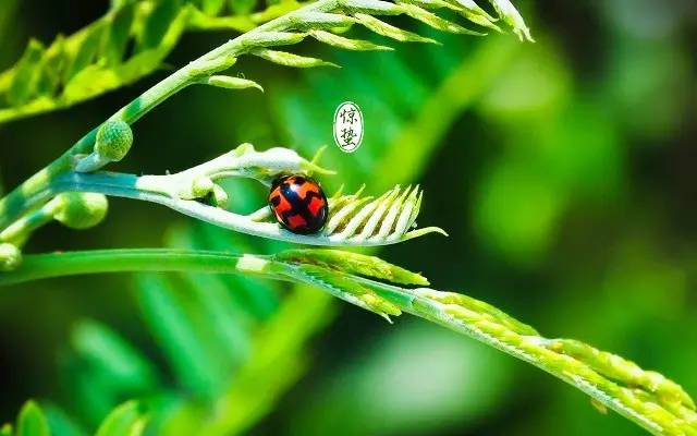 6tsportsapp 2025最新版 派系自定义界面