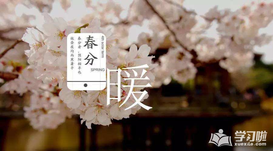 佰家富澳彩入口安卓版二维码