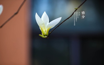 幸运财神app