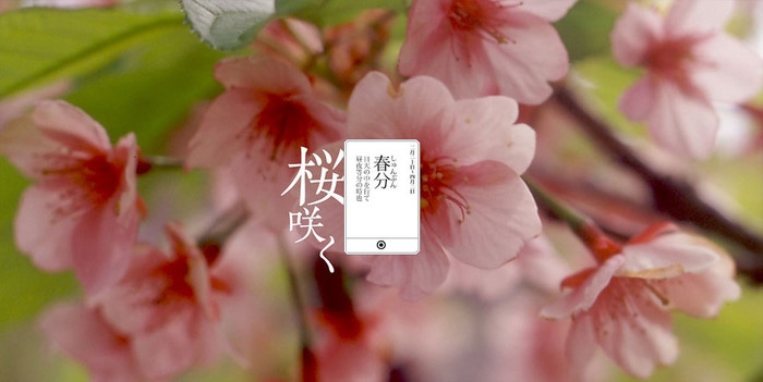贵州药材APP