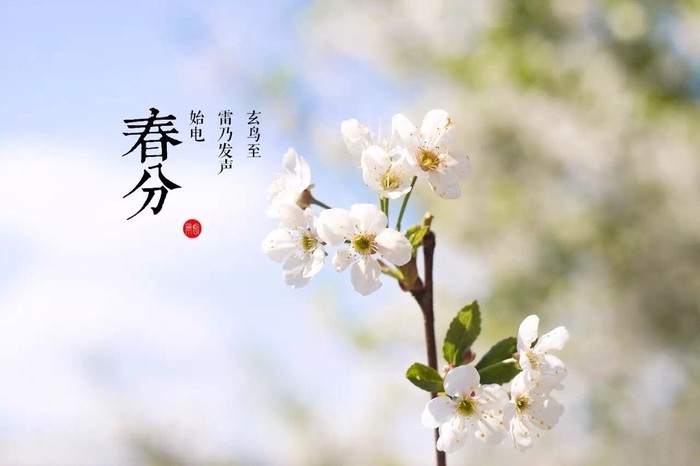3377体育app