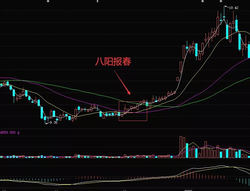 云开体育app官网入口网址V6.1专业版