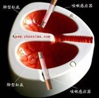 上海闵行软件